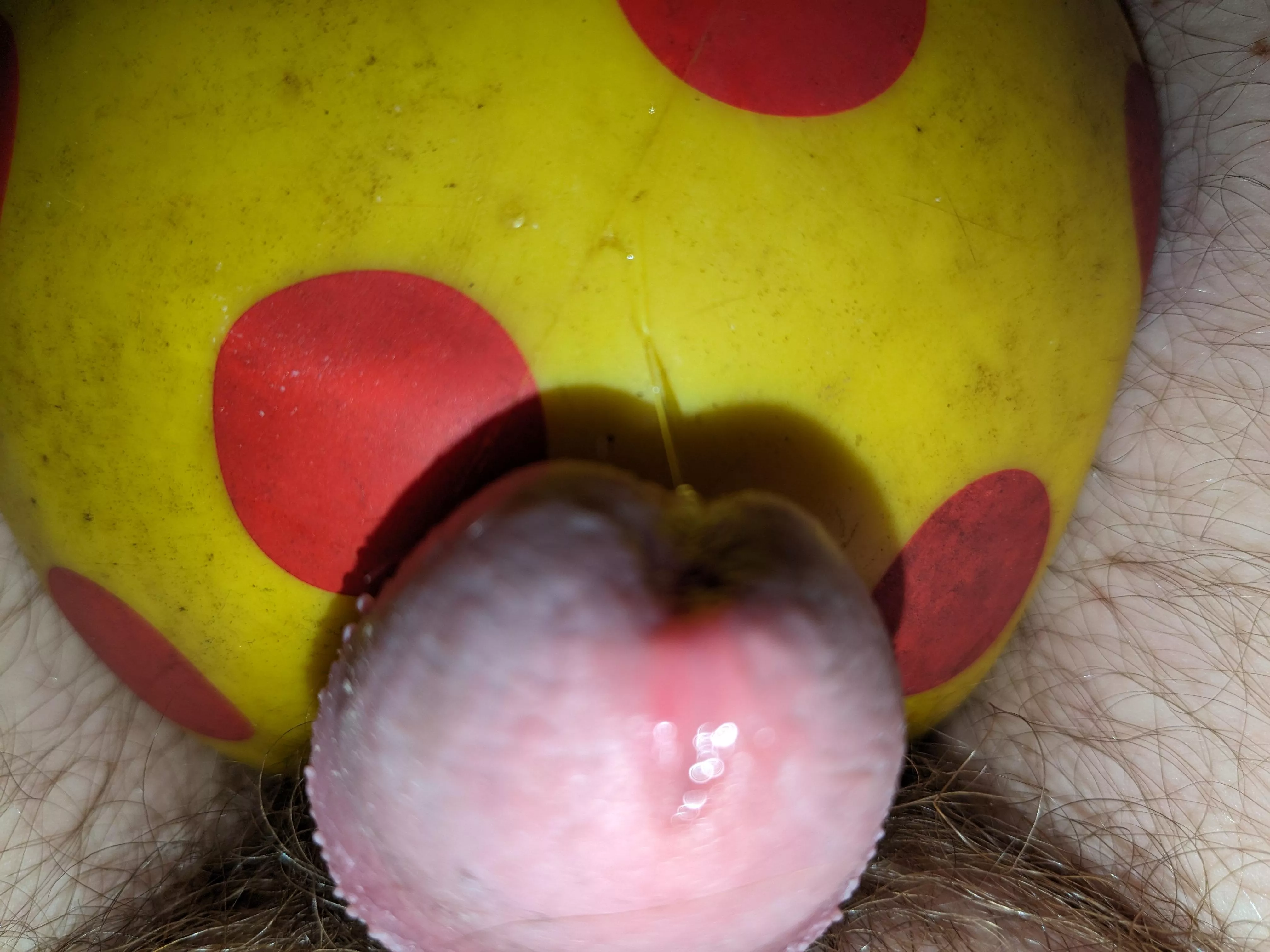 Let me cum on the ball