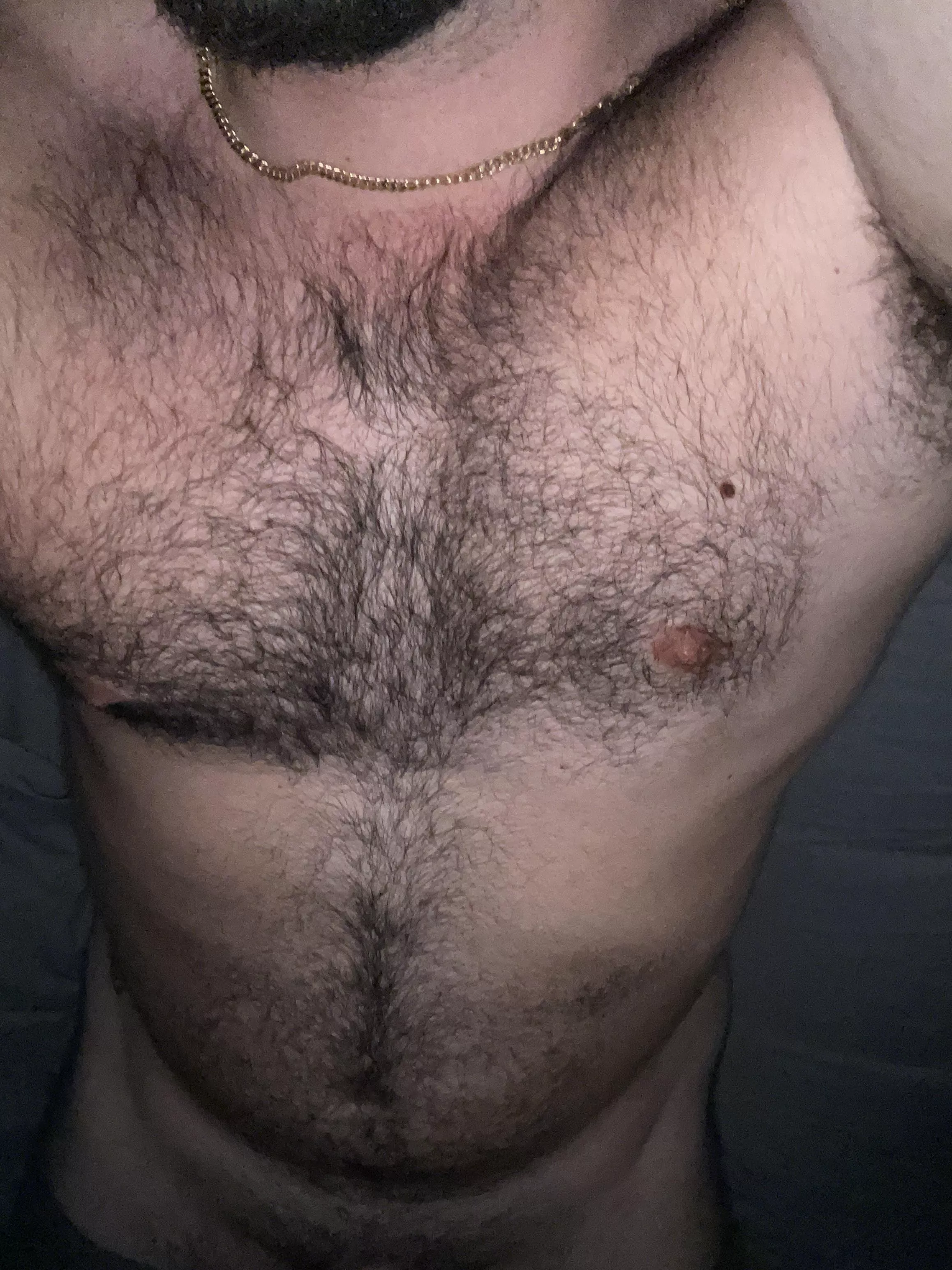 Looking for a beefy friend. 28 bi here.