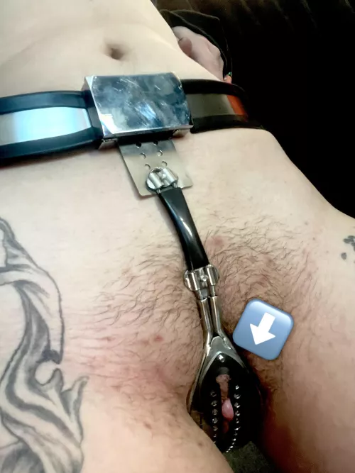 My clit straining against the belt!