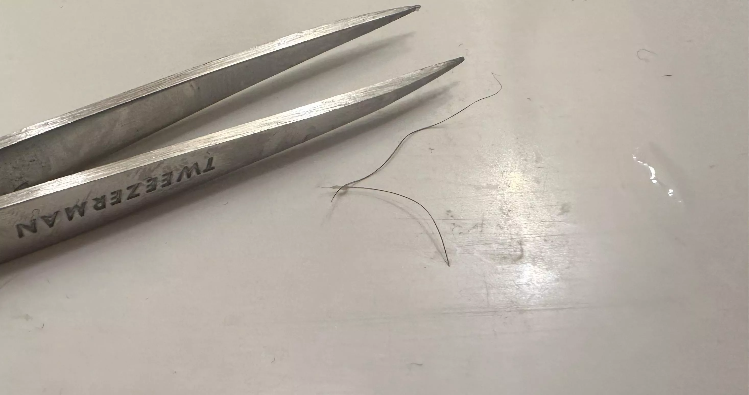 Noticed a pretty small bump on my leg and pulled out an ingrown hair ALMOST AN INCH LONG.