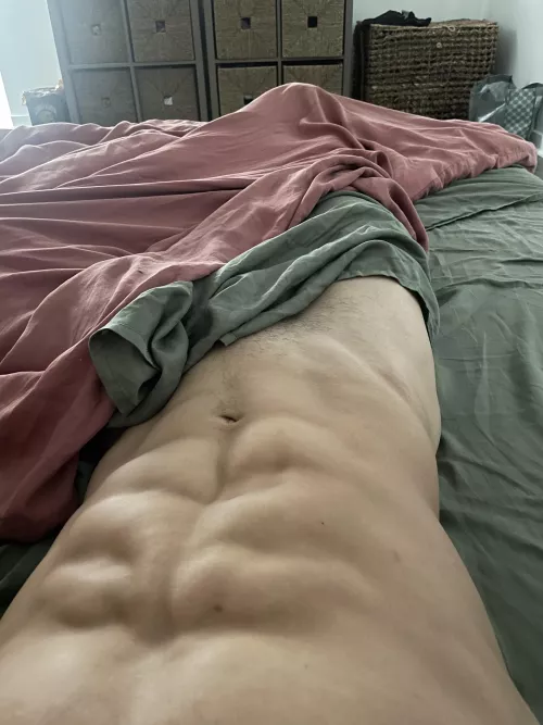 say hello to my morning wood