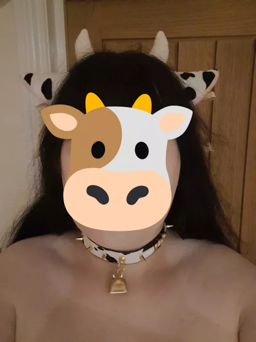 Showing off my new collar! (plus cute ears)