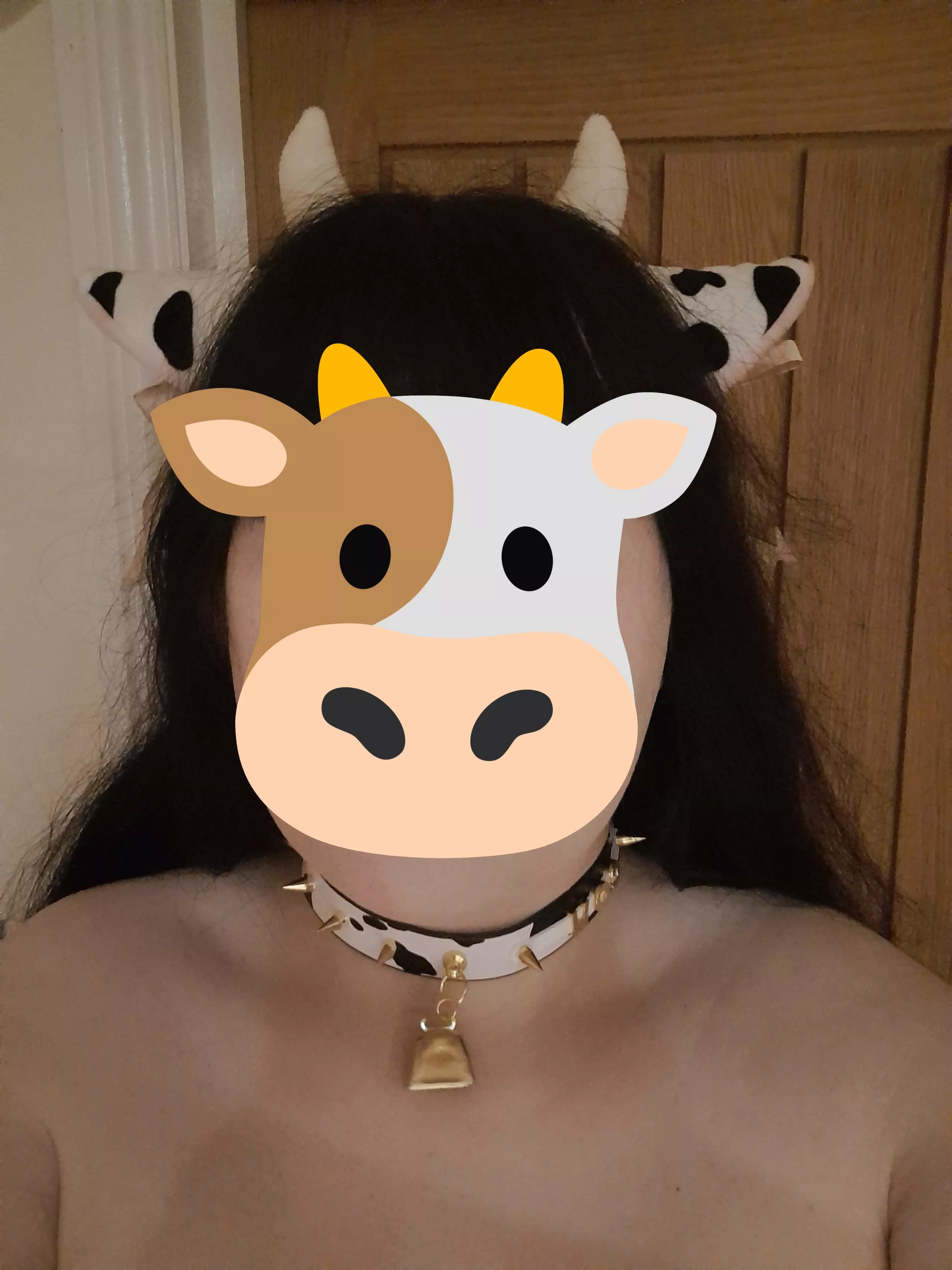 Showing off my new collar! (plus cute ears)