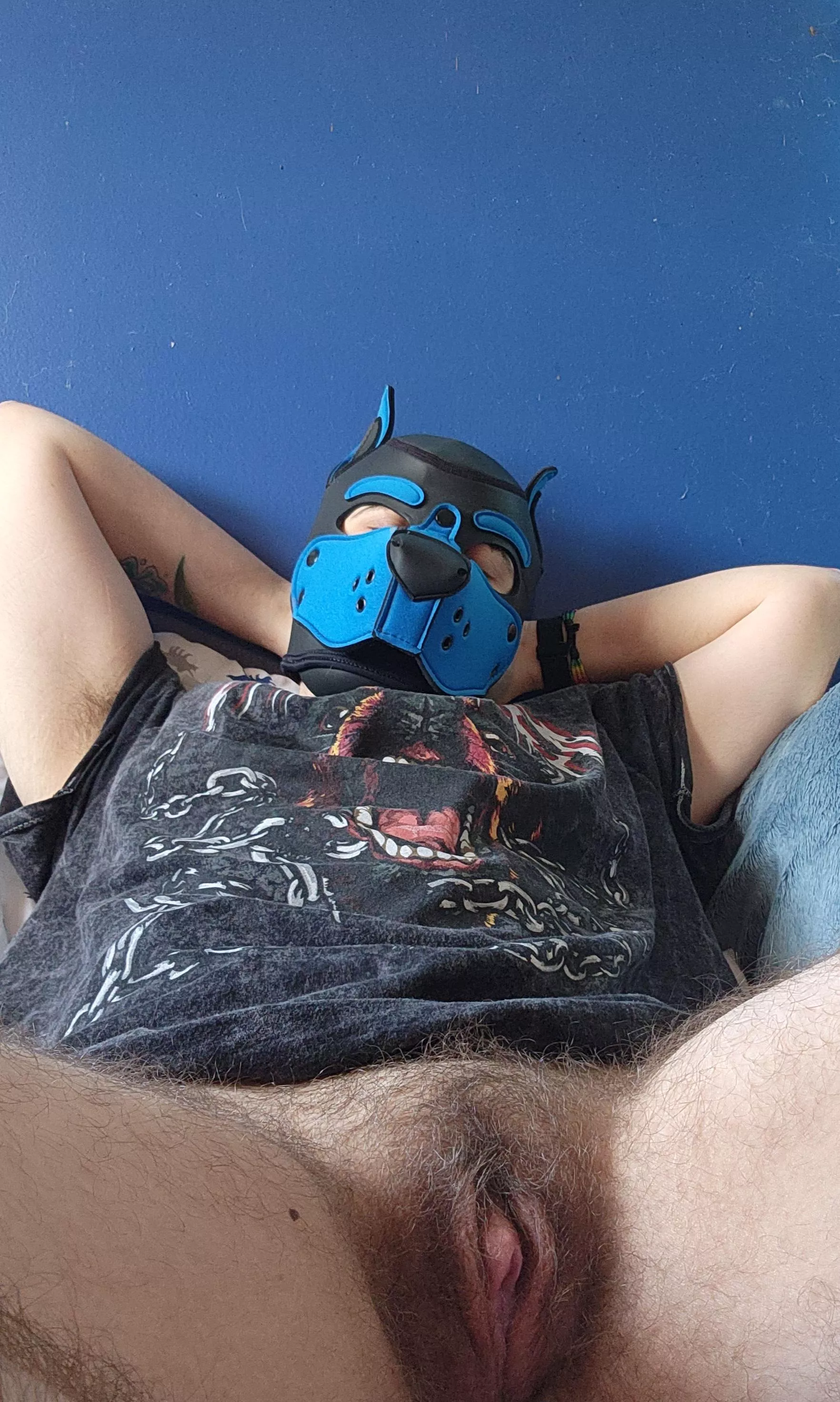 Sunday = Dog Nap Day 🥱