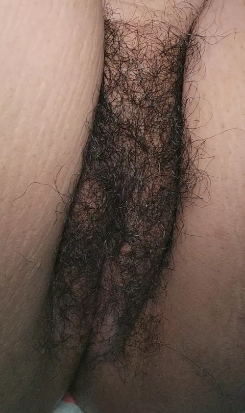 The Bush after my shower 😊