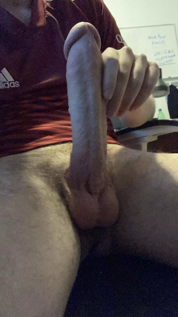 Told it was long, fat, and gorgeous