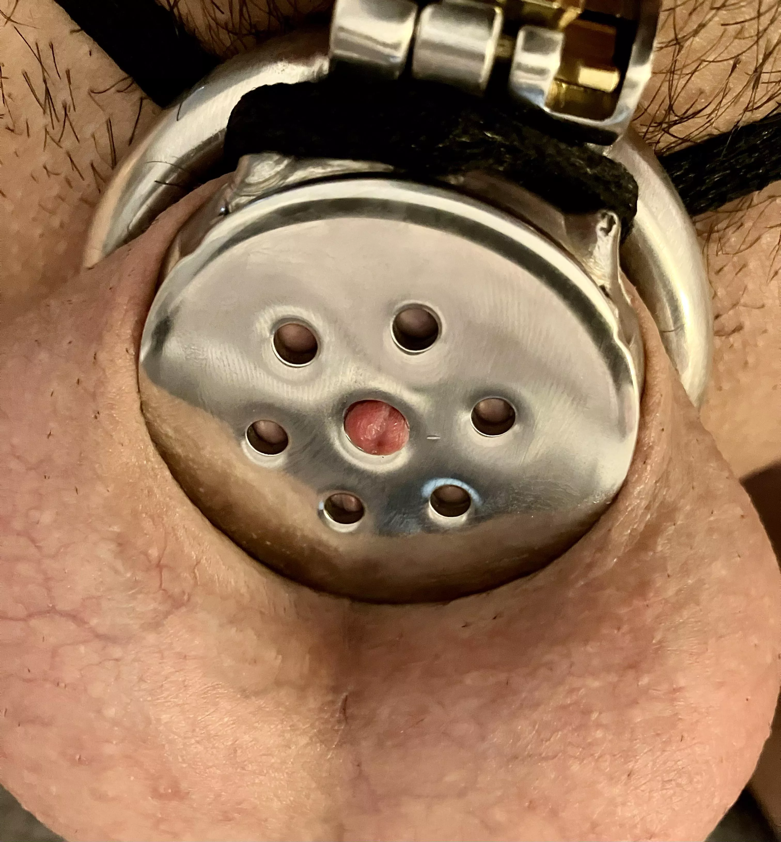 What a beauty ❤️ keyholding it