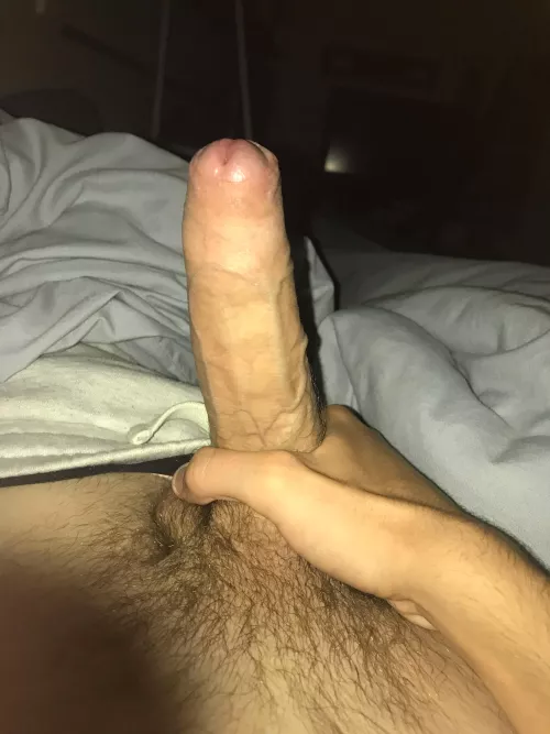 What you think of my 19 year old white cock?