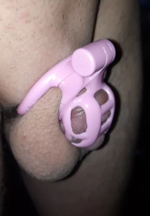 Would you let your best friend keep you locked 24/7 if that meant getting to worship her feet everyday? 