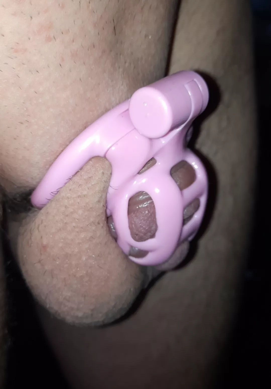 Would you let your best friend keep you locked 24/7 if that meant getting to worship her feet everyday? 