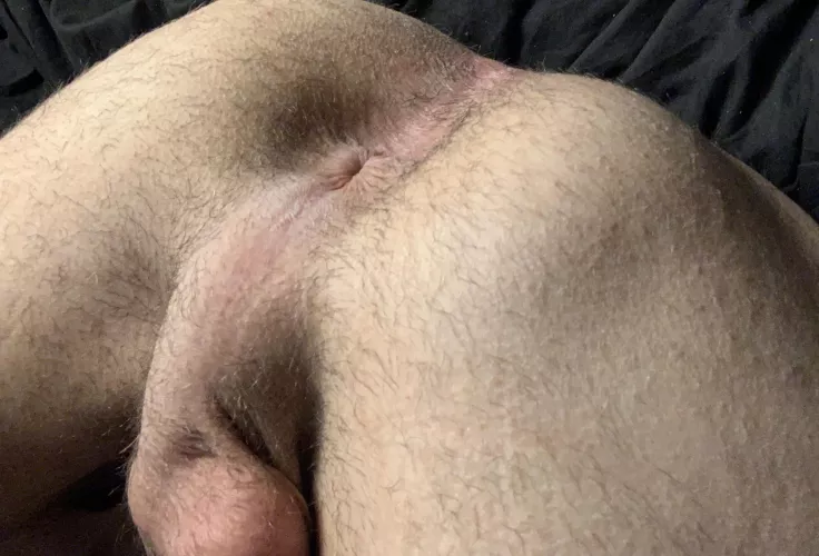 Would you plow me bareback??