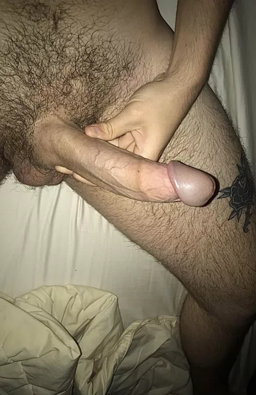 Your reaction when I send you this?