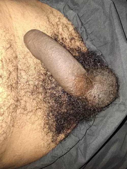 23 I'm a gooner and porn addicted, love kinky, pig, stink and hairy older guys. Snap: bipentelhudao