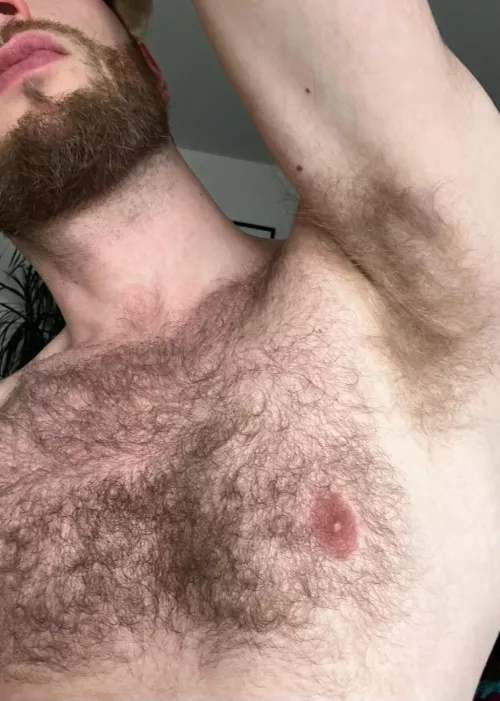 [35] Hairy blone dude awaiting for worship 👅👃🏻