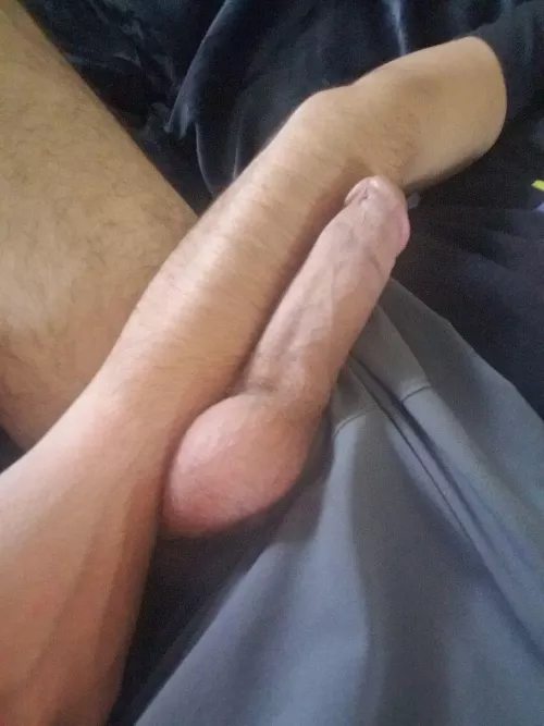 36M visiting Colorado Springs, in town this week. Experienced, clean, recent test and vasectomy. DM for more details!
