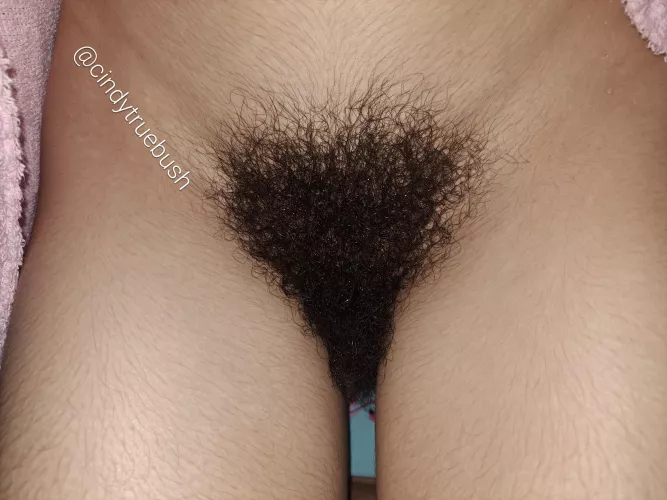 Best Rug in the game 👸🌳