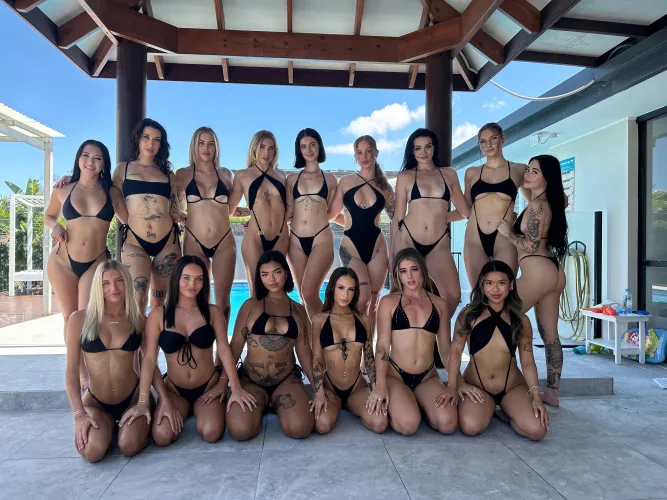 Bet you can’t just pick one [15]