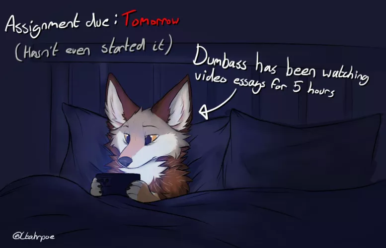 Coyotes don't work well with deadlines 🥲 (Art by me, @Ctahrpoe)