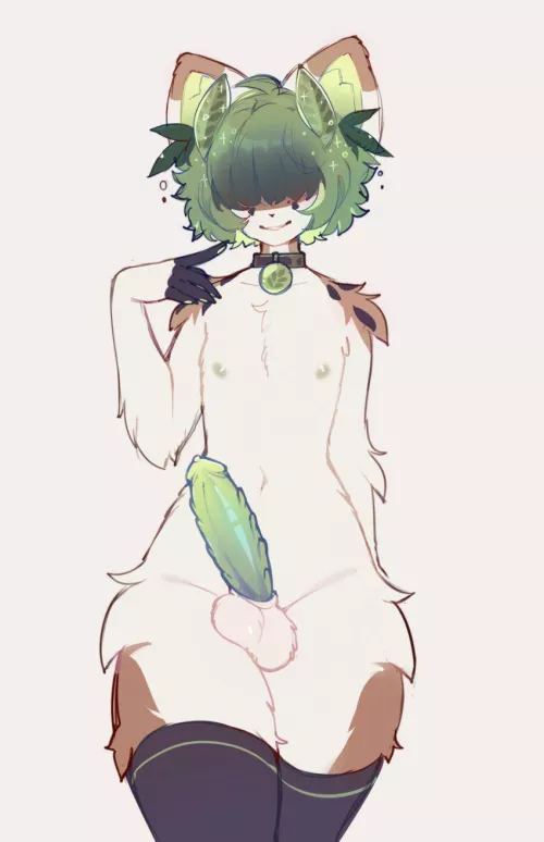 Cutie cat. (Hornyorangemoi)