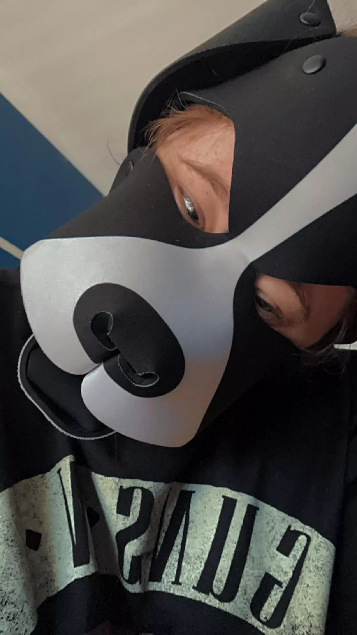 Did someone say walkies