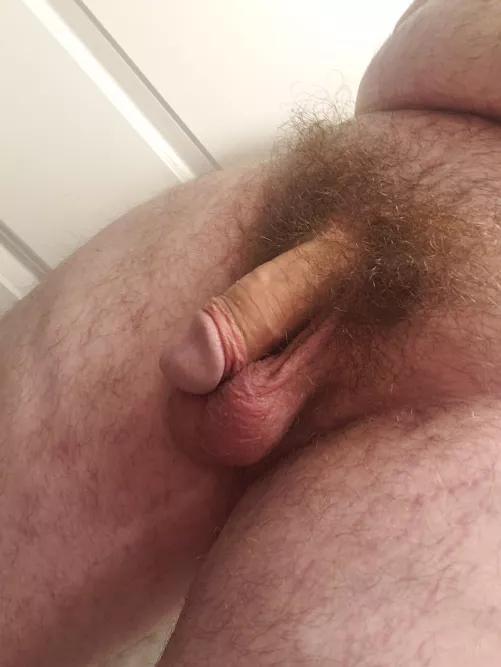 Do I have a nice softie? Never posted a picture of it soft before so I'm self concious 😅