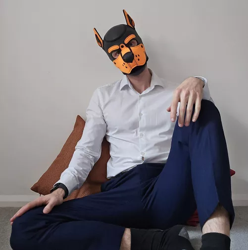 Dogs belong on the floor, even when they're chilling before work...