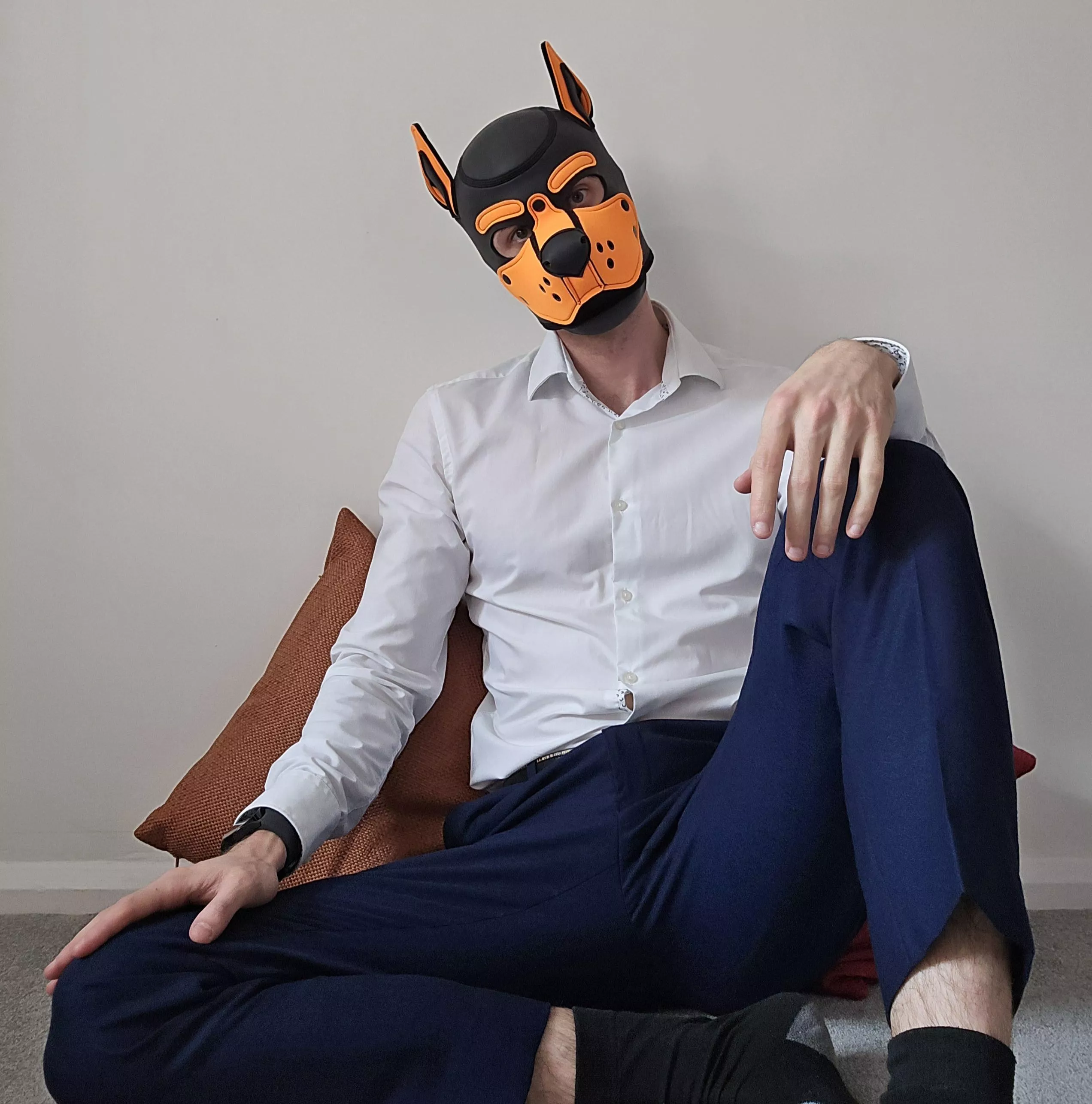 Dogs belong on the floor, even when they're chilling before work...