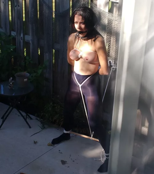 fun in the back yard