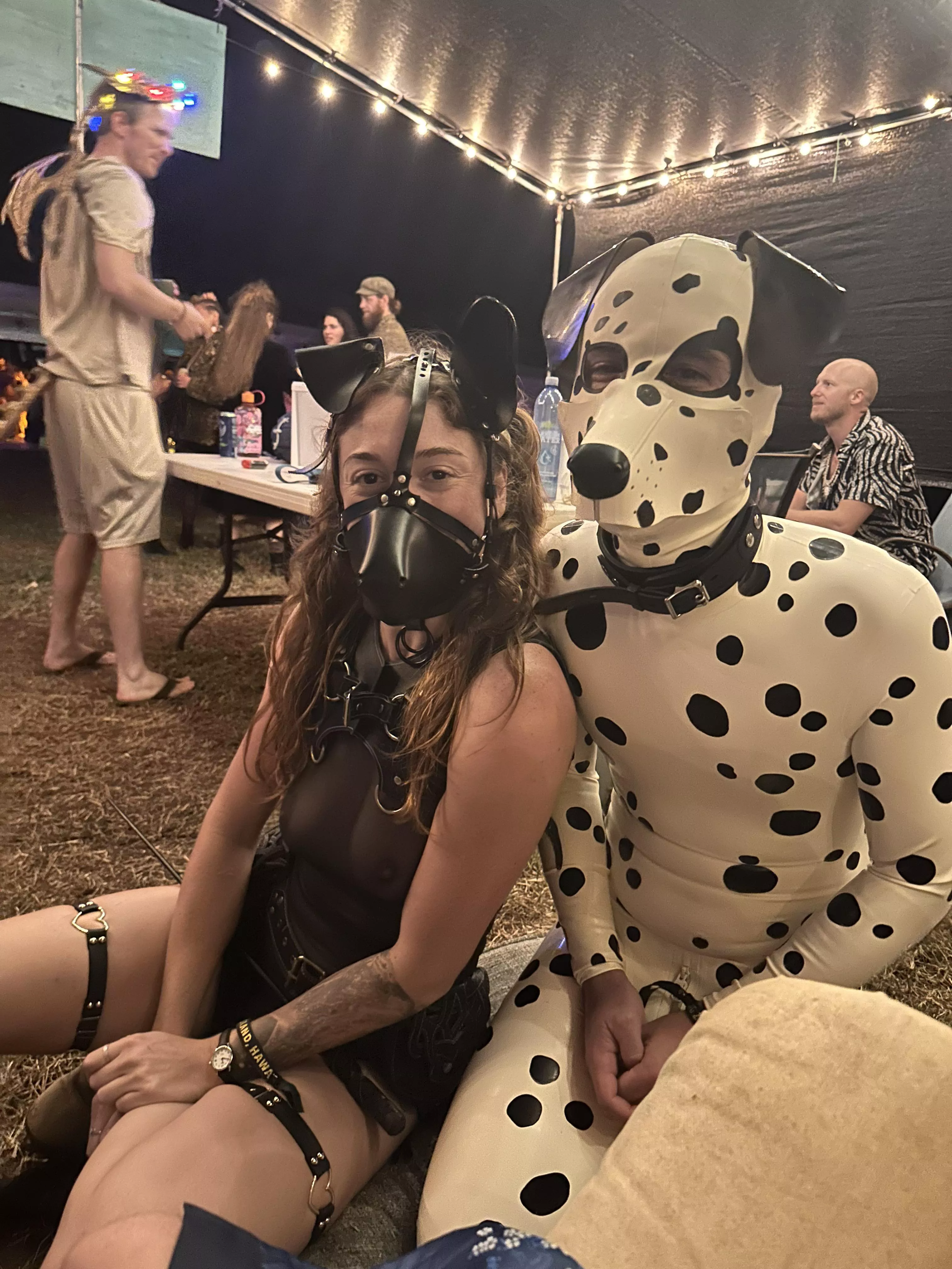 Got to wear my latex puppy suit at my regional burning man event!