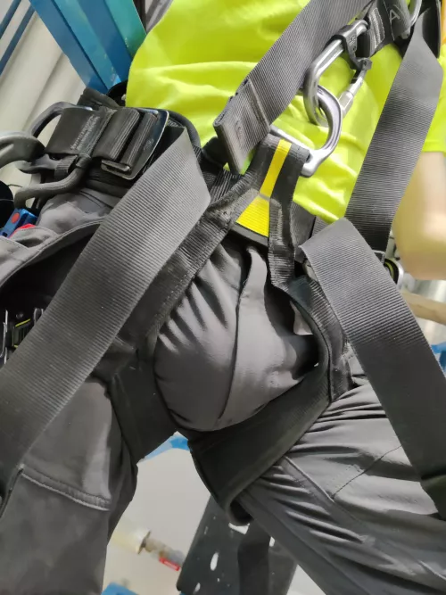 Harness always makes it 'pop'