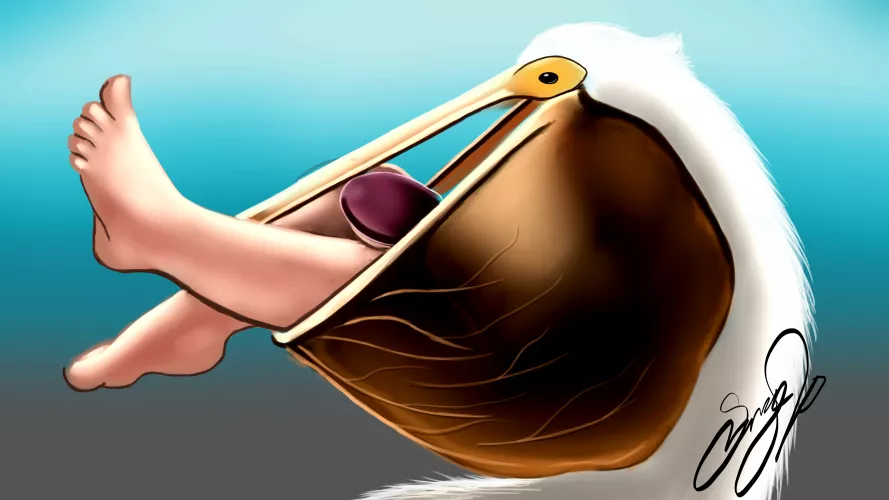 {Image} - Pelican Vore - Artist is DoitVoreme (Surge20) - [Male Vore] [Oral Vore] [Pelican/Male] - Enjoy