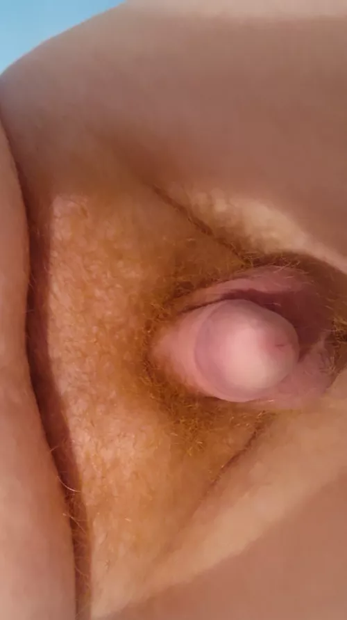 Is my bush hairy enough with my ginger pubes