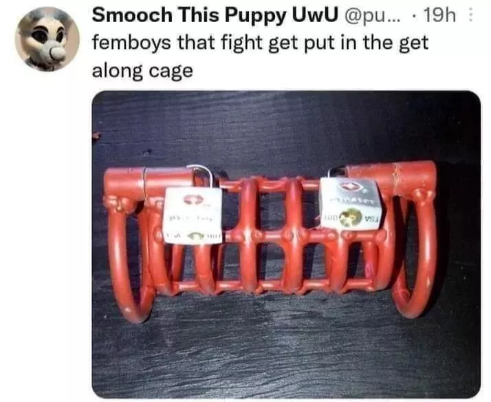 Just need some femboys