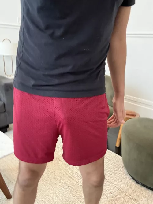 My comfiest pair of shorts but wonder if to revealing for going outside