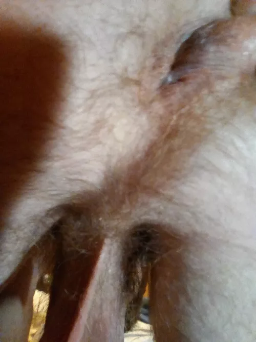 My hole needs attention