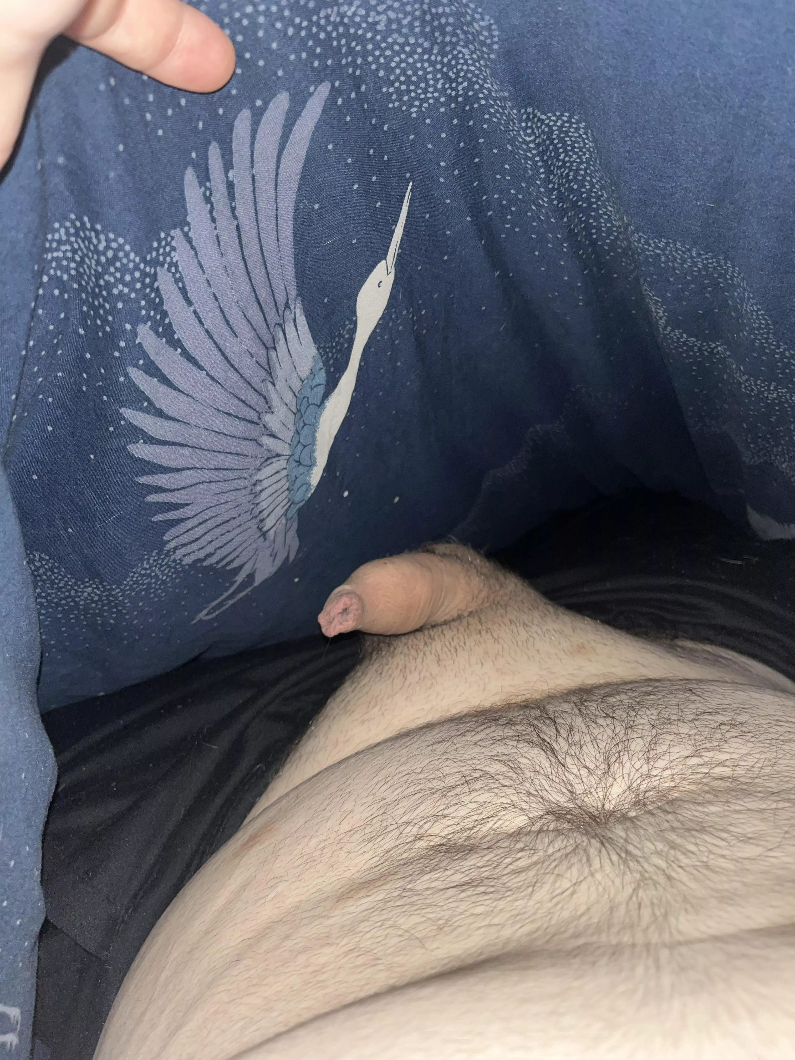 People on here seem to like peeking under my sheets ☺️