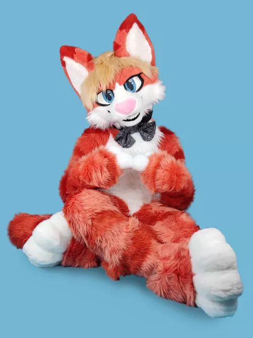 Ready to be mischievous (@XaviPurr)