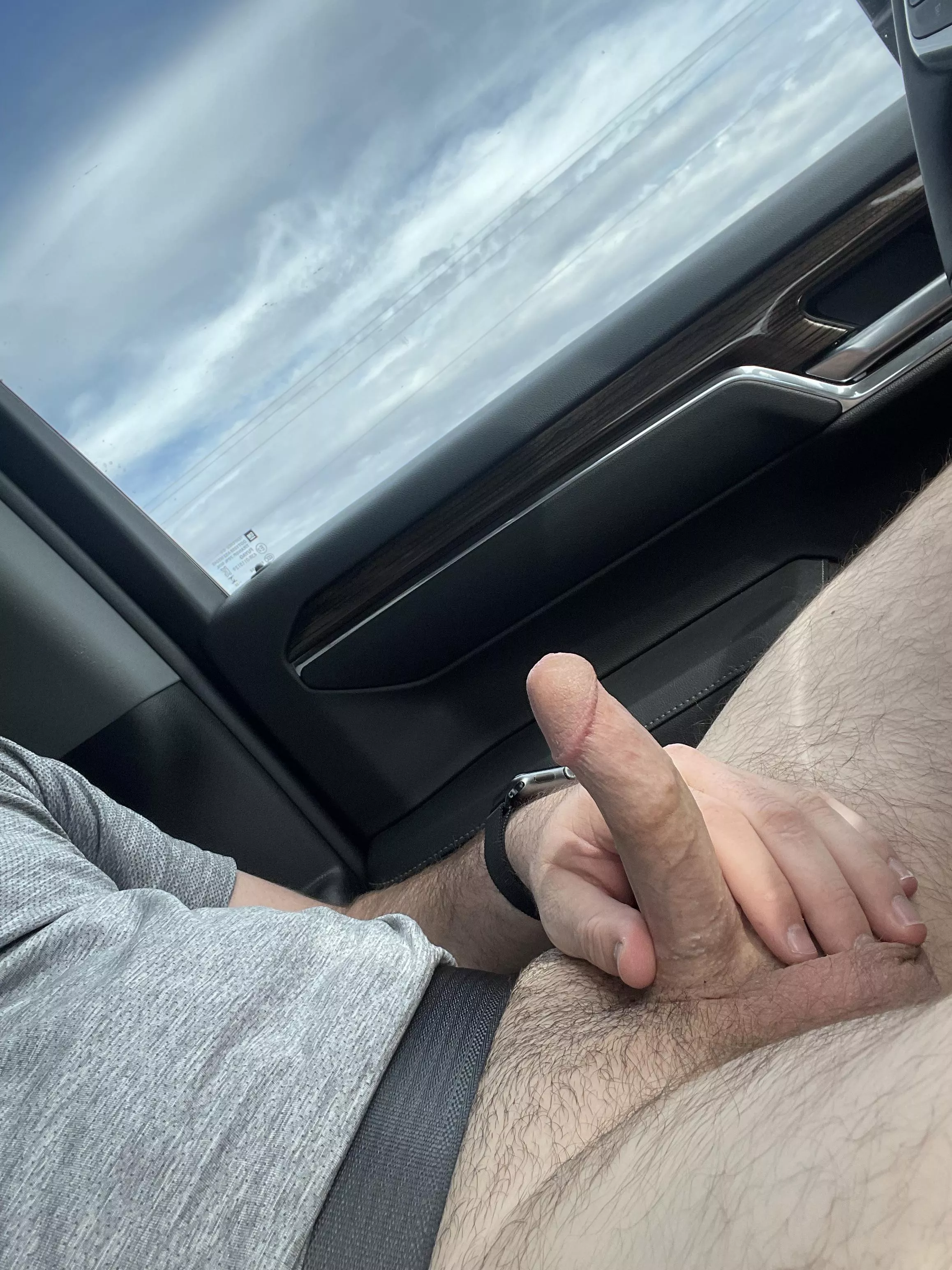 Roadtrip dick