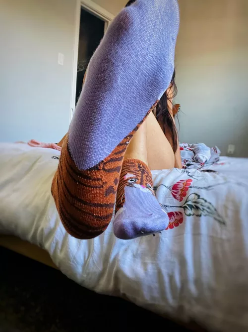[Selling][US] Want these smelly socks pressed up against your face? 💜