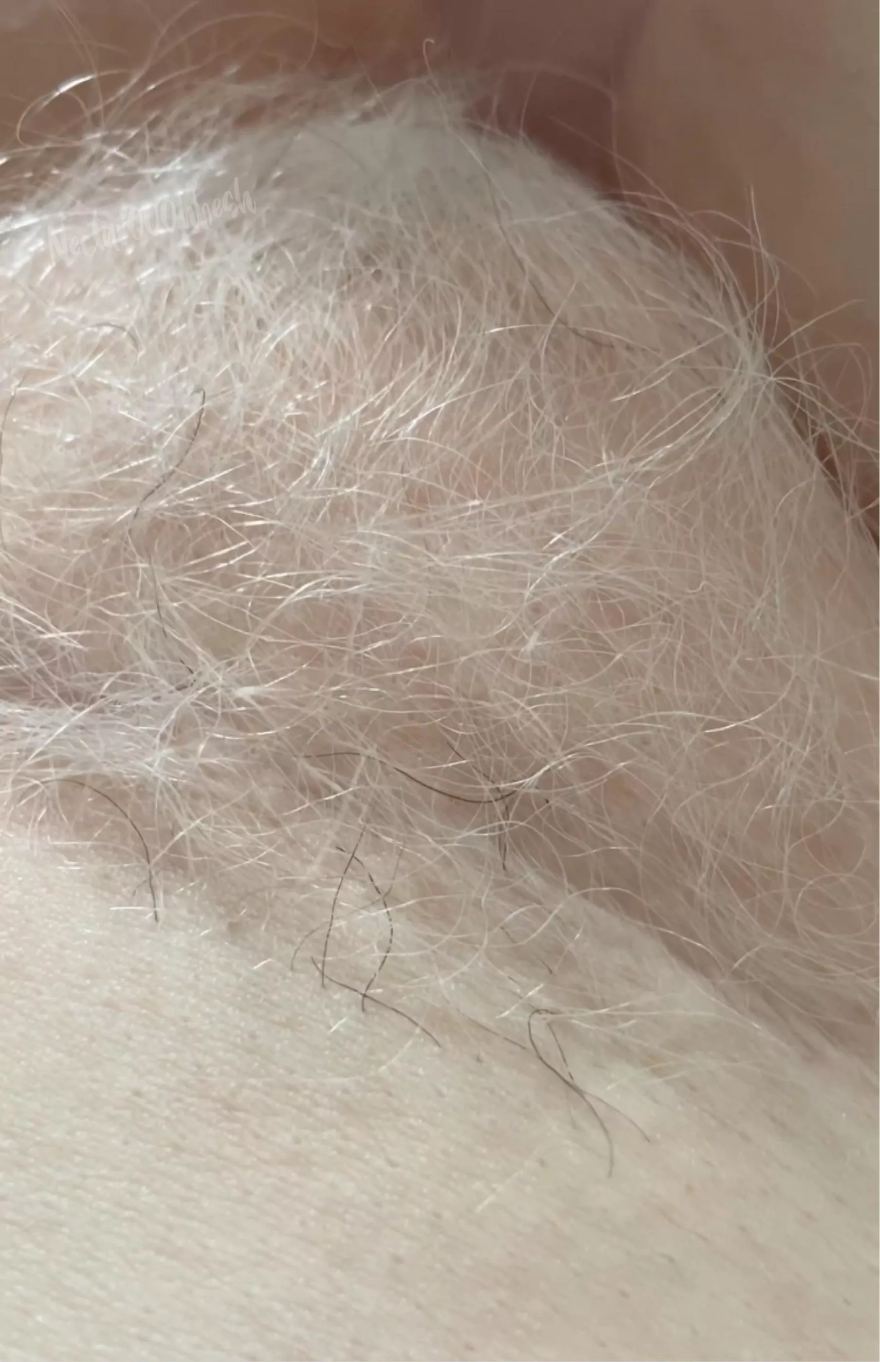 She’s not completely white. 