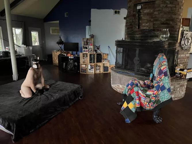 The boys set up a scene, and made sure I had a throne, bwahaha