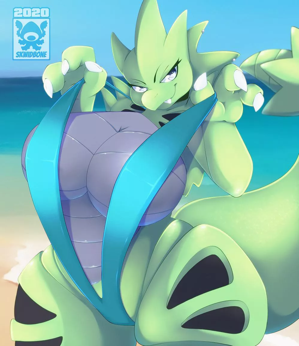 Tyranitar on the beach 
