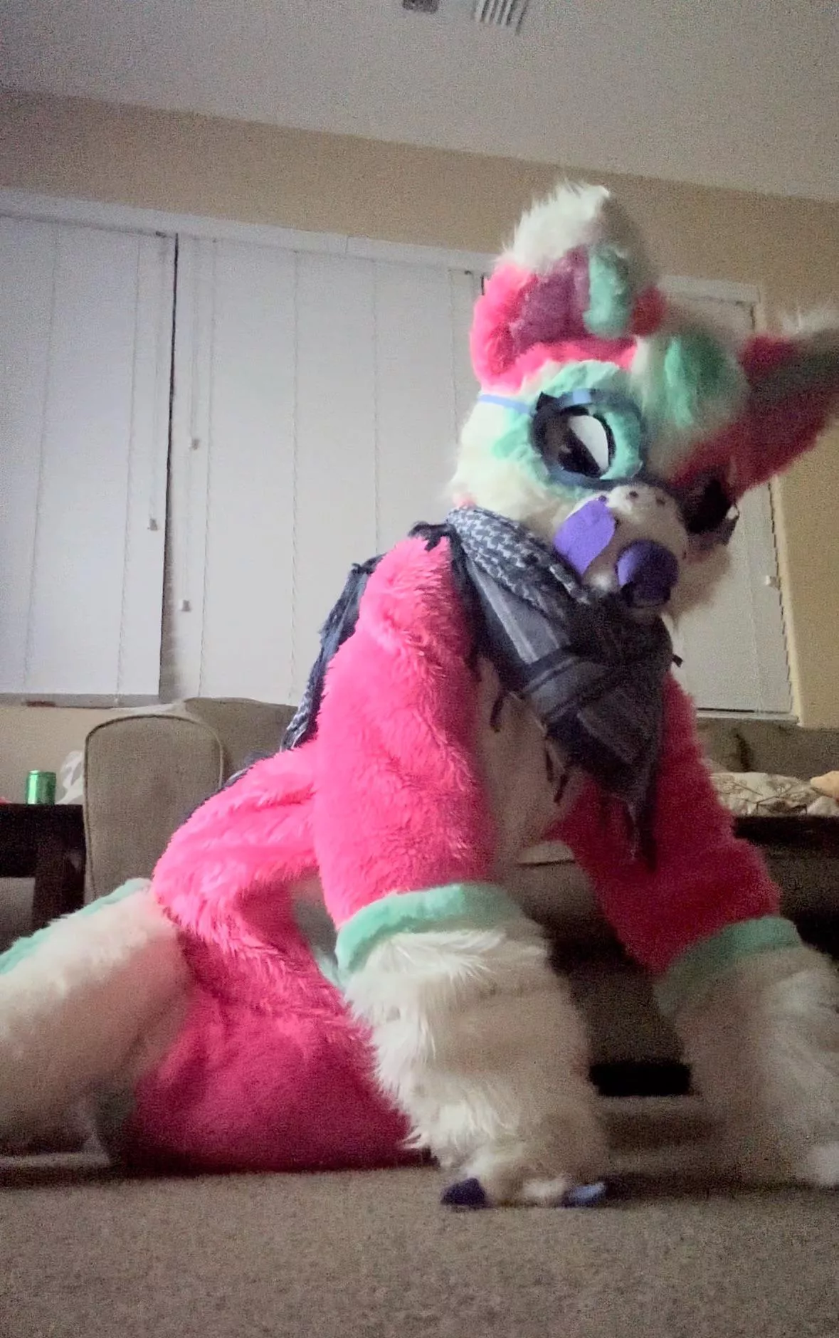 Want to watch some TV with this doggo? ✨