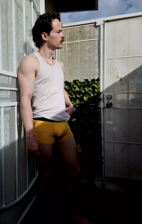 Watching the birds fly by this morning