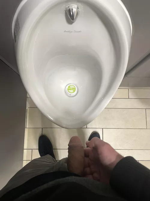 Whenever I go pee, I like to take a moment to admire my softie