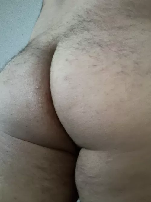 27 need an older bear