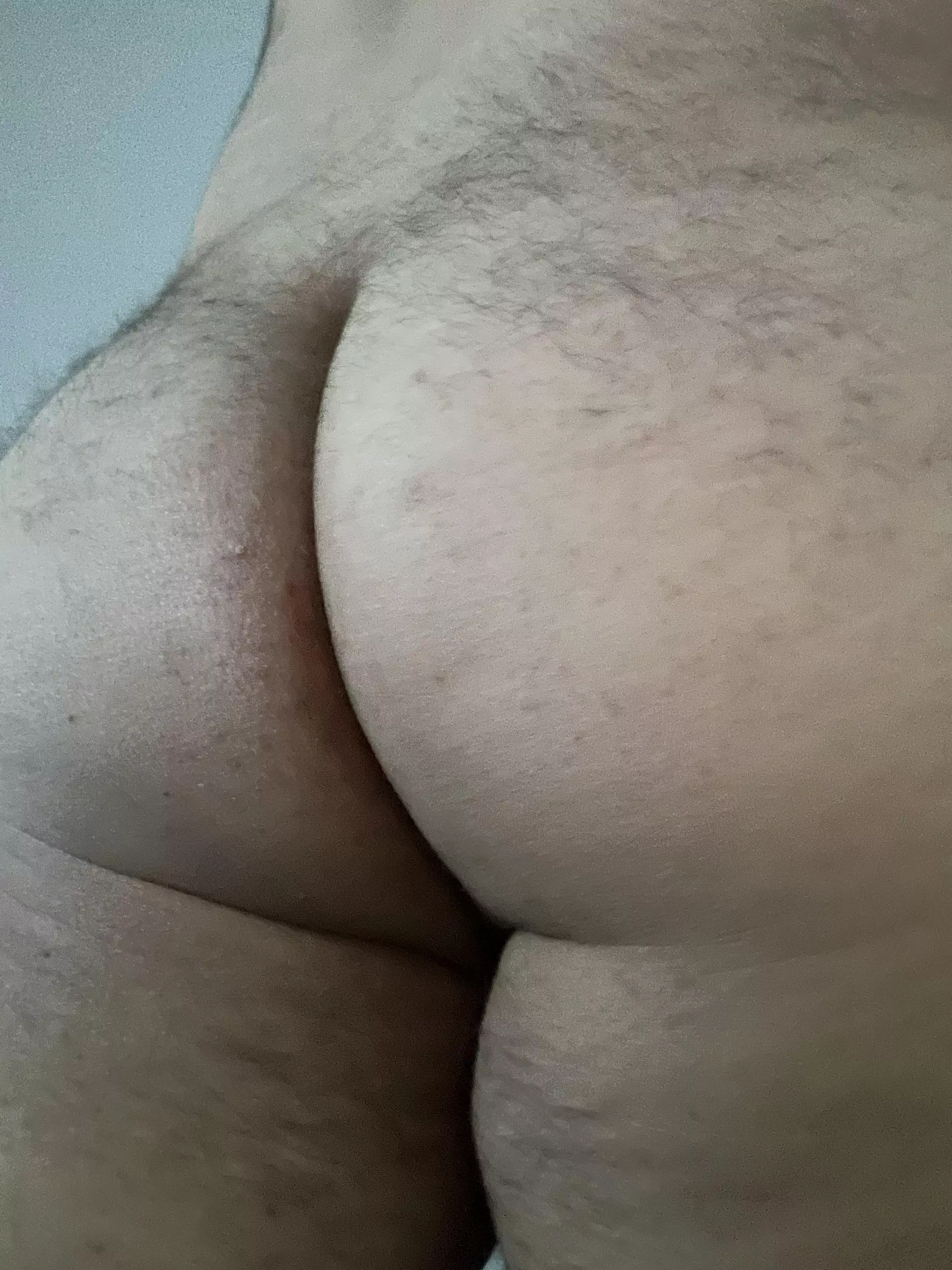 27 need an older bear