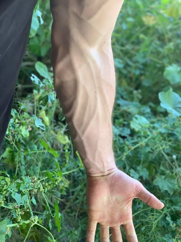 A couple years ago but it still counts