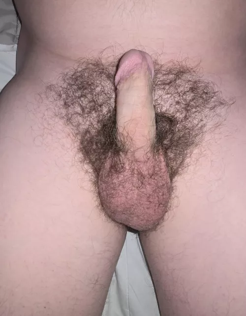 Been about 10 months since I shaved, what do you think? Any tips on a better bush?