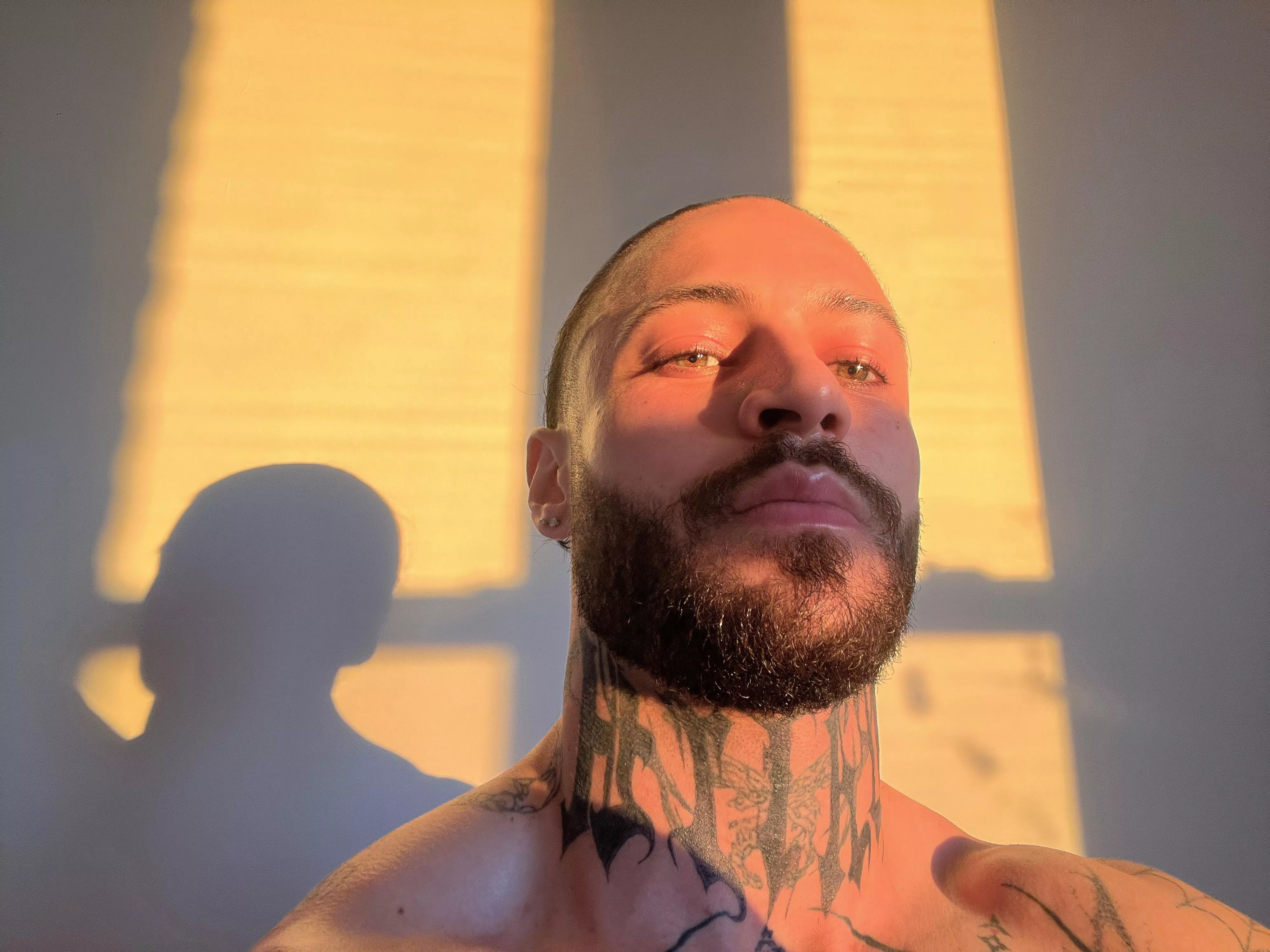 catching some sunlight :)